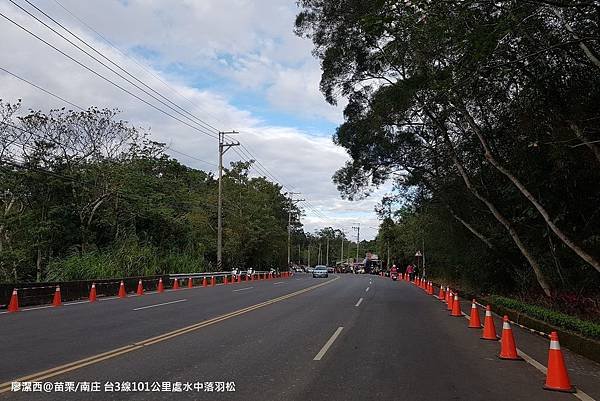 【苗栗/南庄】蘇維拉莊園餐廳附屬落羽松景點