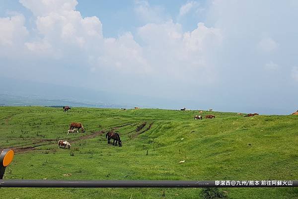 2018/07 九州/熊本 前往阿蘇火山口