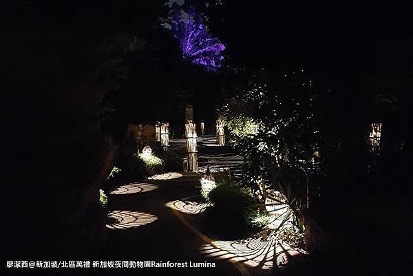 2018/08 新加坡/新加坡/北區萬禮 新加坡夜間動物園Rainforest Lumina