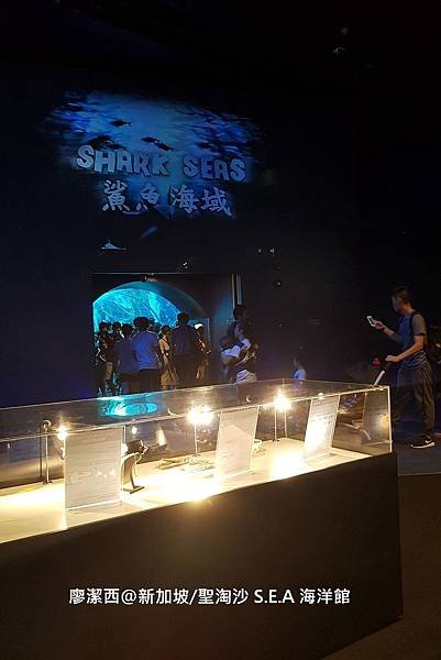 2018/08 新加坡/聖淘沙 海洋館