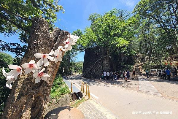 【苗栗/三義】龍騰斷橋