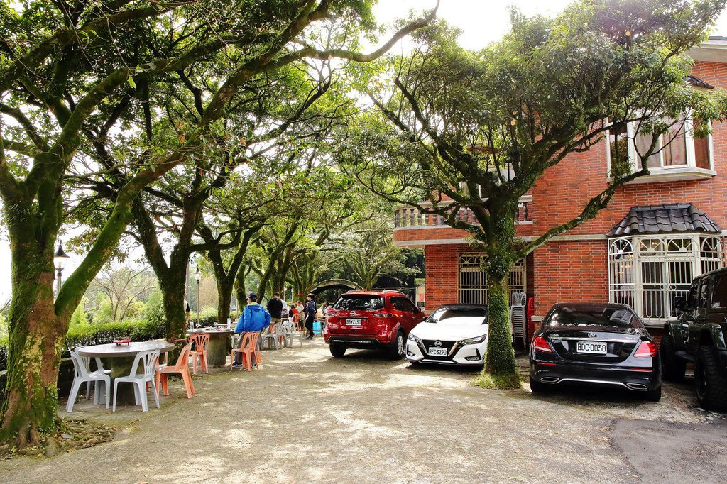 陽明山土雞景觀餐廳推薦，竹子湖杉木林餐廳白斬雞、野菜、寵物友