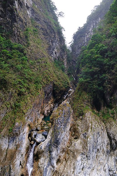 魚躍龍門