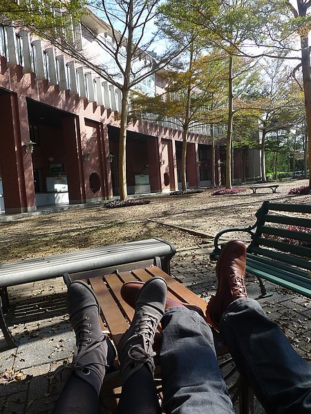 P1060596.JPG