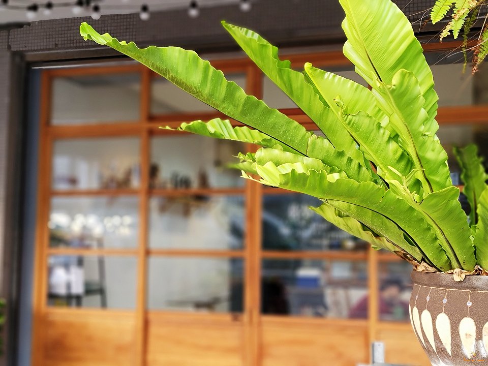 20201217_163443.jpg
