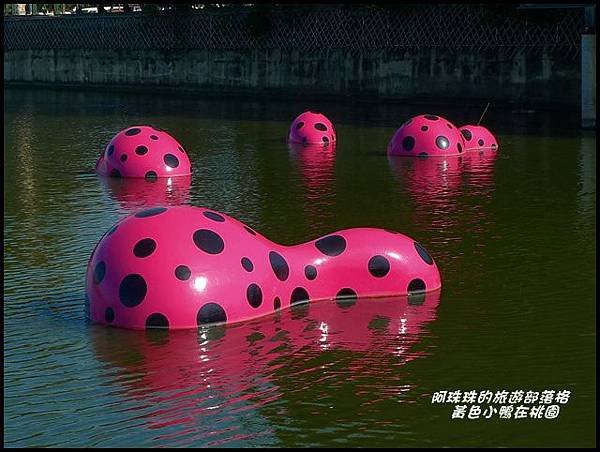黃色小鴨在桃園20.JPG