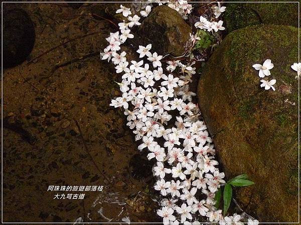 大九芎古道20.JPG