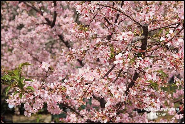 新竹公園2.JPG