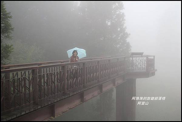 阿里山4.JPG