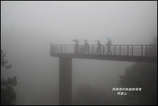 阿里山3.JPG