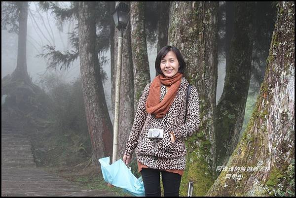 阿里山19.JPG