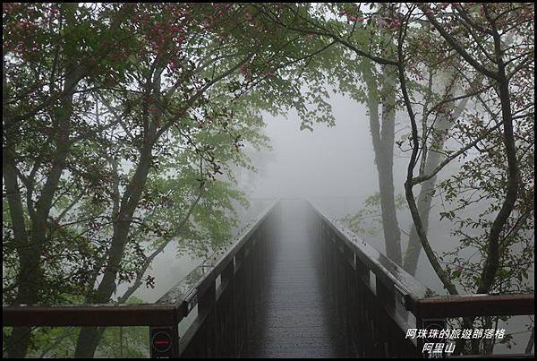 阿里山34.JPG