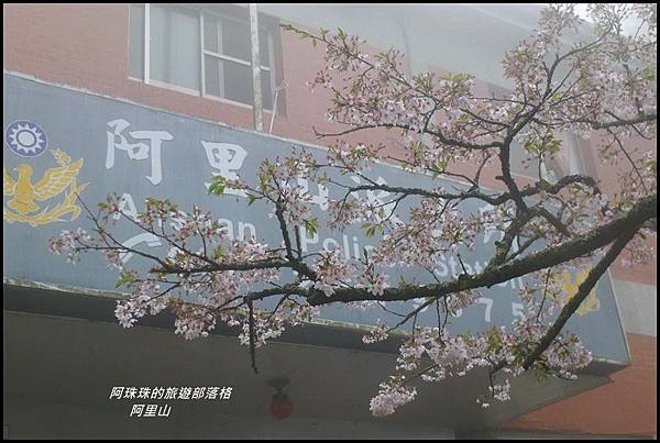 阿里山41.JPG