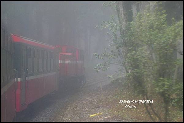 阿里山61.JPG