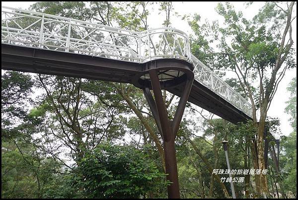 竹崎公園27.JPG