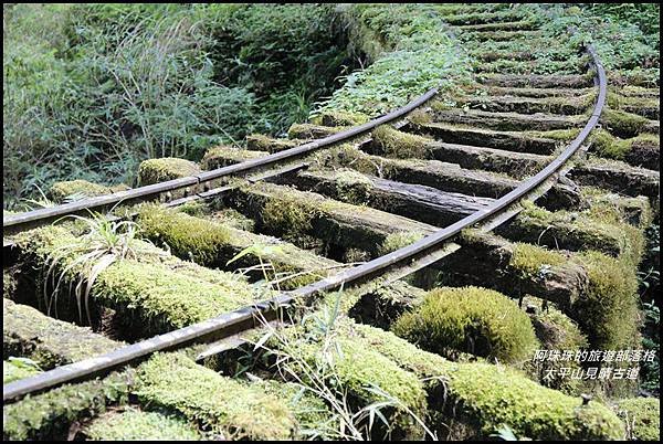 太平山見晴古道20.JPG