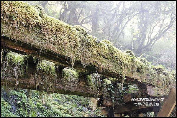 太平山見晴古道25.JPG