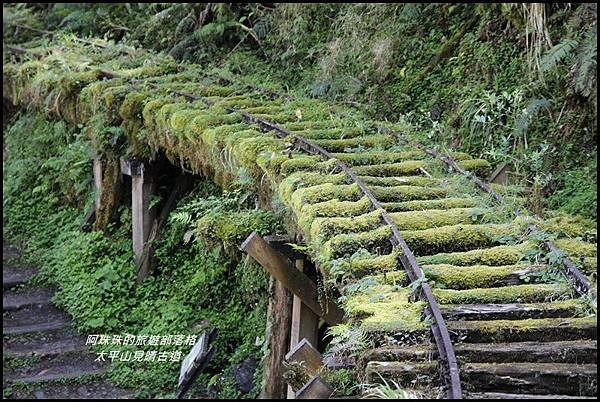 太平山見晴古道26.JPG