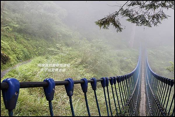 太平山見晴古道32.JPG