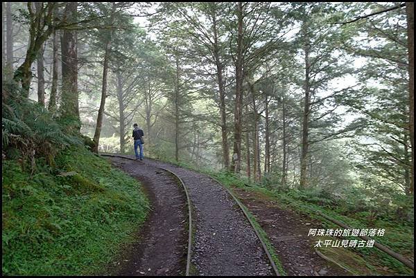 太平山見晴古道60.JPG