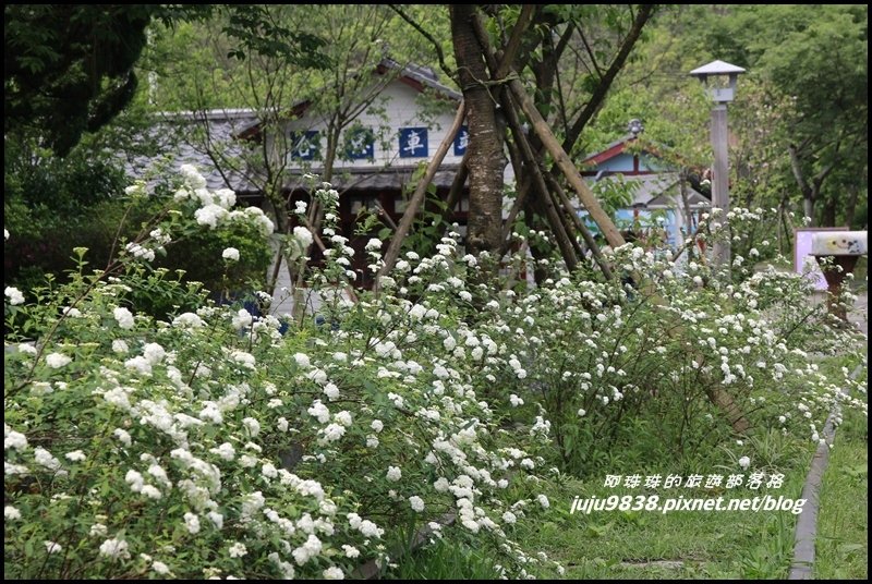 合興車站28.JPG