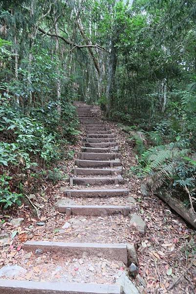 鳶嘴稍來步道11.JPG