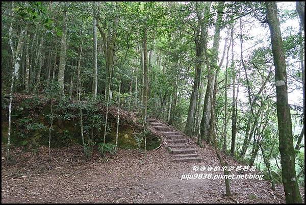 鳶嘴稍來步道13.JPG