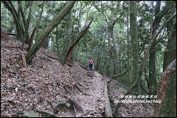 鳶嘴稍來步道18.JPG