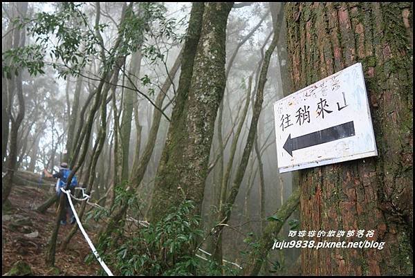 鳶嘴稍來步道64.JPG