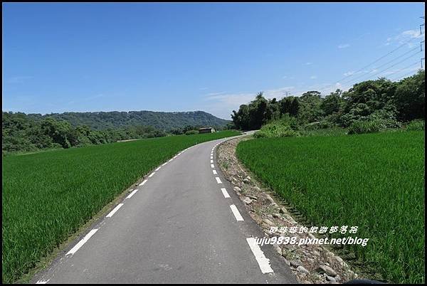 大溪韭菜花海24.JPG