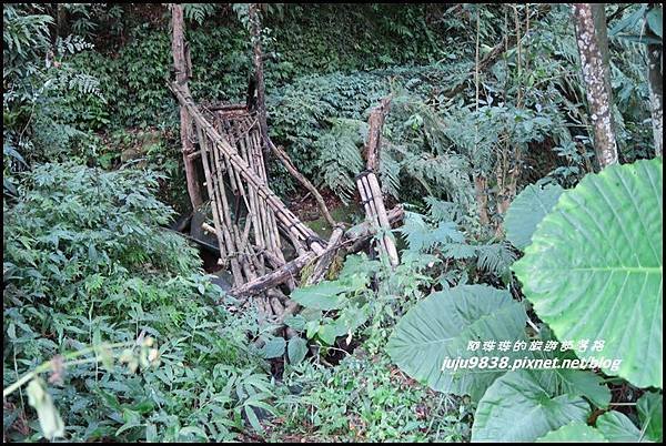 怪獸森林58.JPG