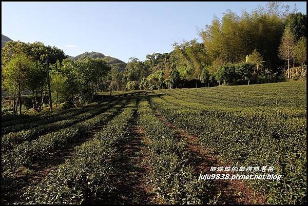 瑞里漫步雲端18.JPG