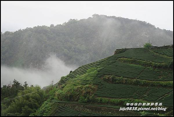 瑞里漫步雲端22.JPG