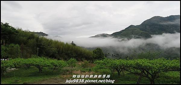 瑞里漫步雲端36.JPG