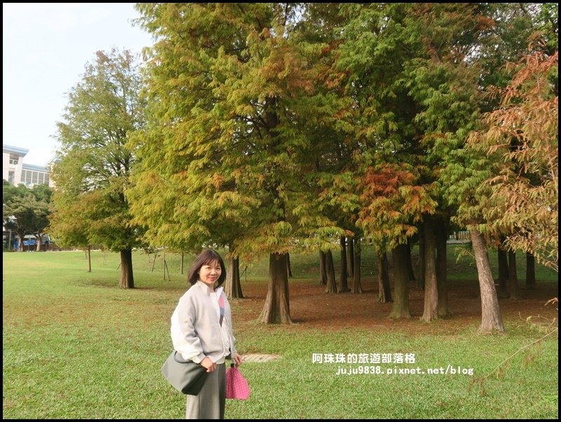 大湖公園22.JPG