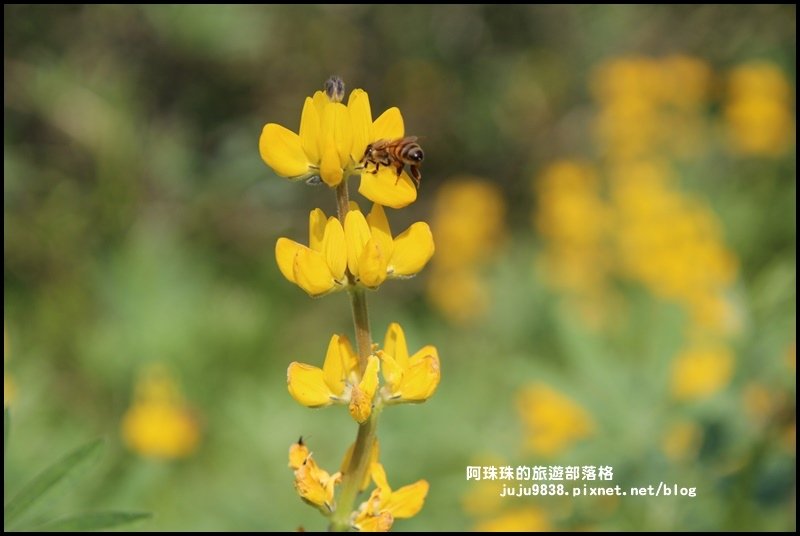 大北坑30.JPG