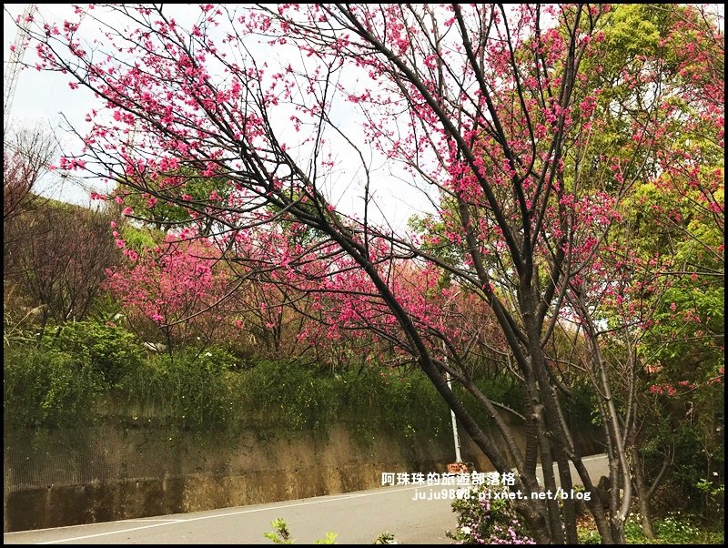 龜山壽山巖觀音寺16.JPG