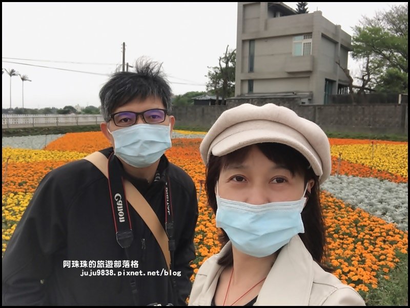 桃園彩色海芋季32.JPG