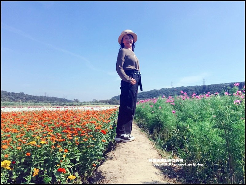 楊梅花彩節49.JPG