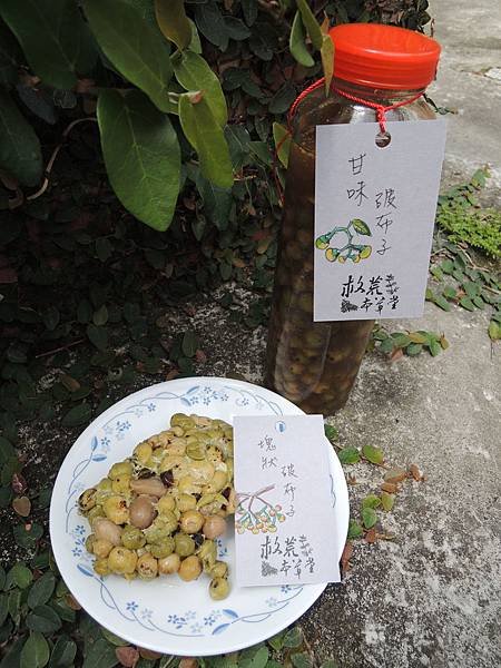 DSCN2418.JPG