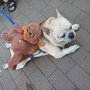 2011-02-06 誠品綠園道 019.jpg