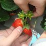 DSC00870.JPG