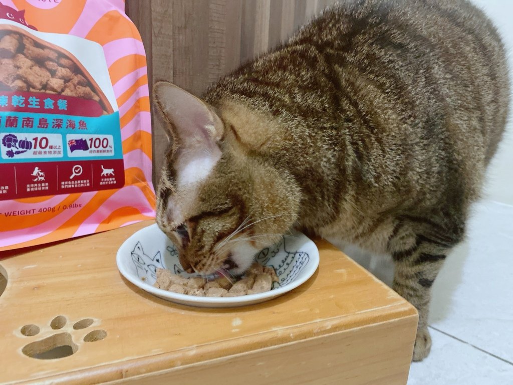 2025寵物開箱｜品果國際｜索美達SoulMate飼料評價｜