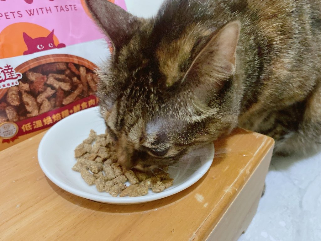 2025寵物開箱｜品果國際｜索美達SoulMate飼料評價｜