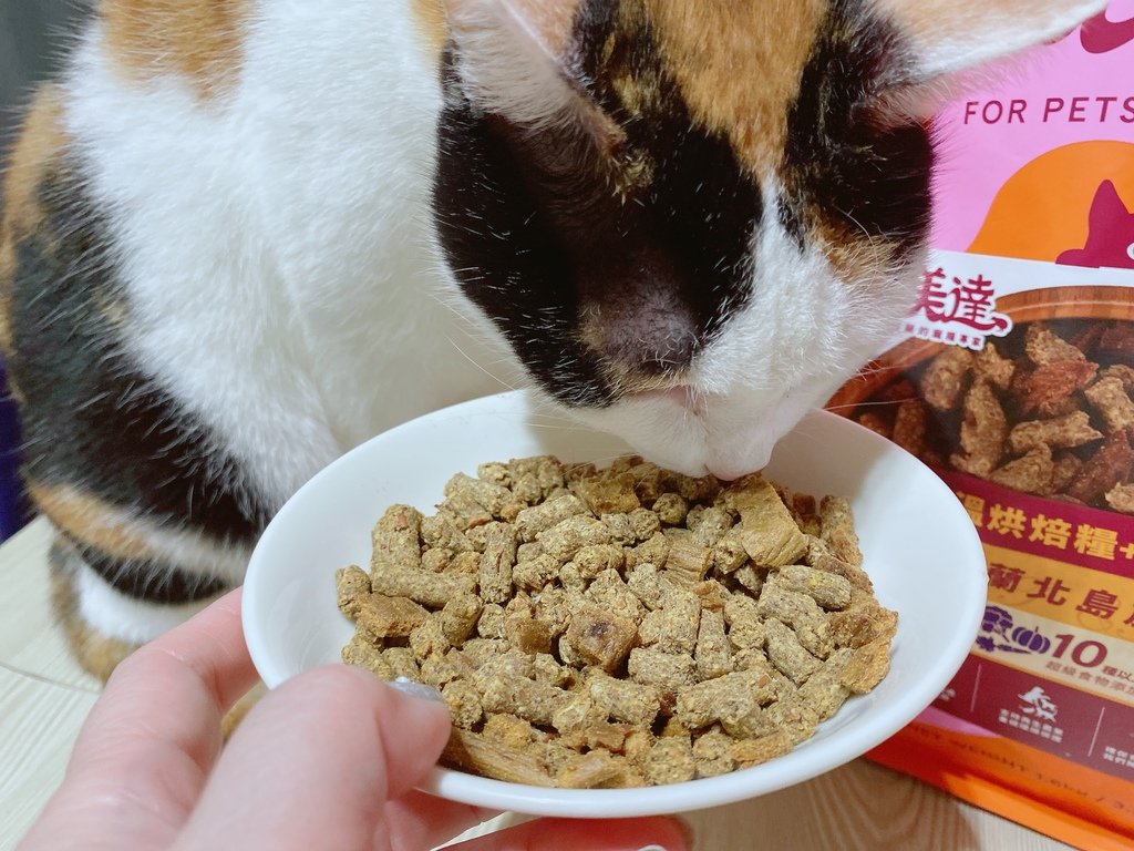 2025寵物開箱｜品果國際｜索美達SoulMate飼料評價｜