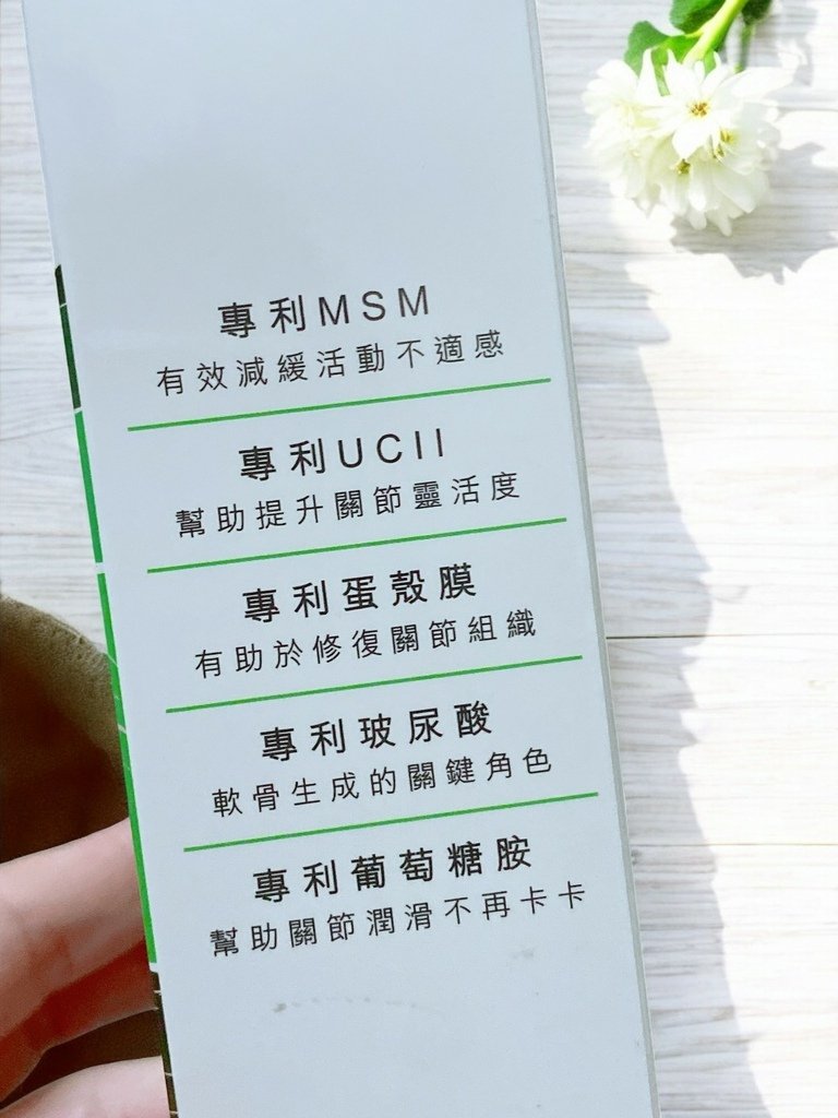 貓狗關節保健品怎麼選？｜和樂茸茸Pawsitive｜好好動-