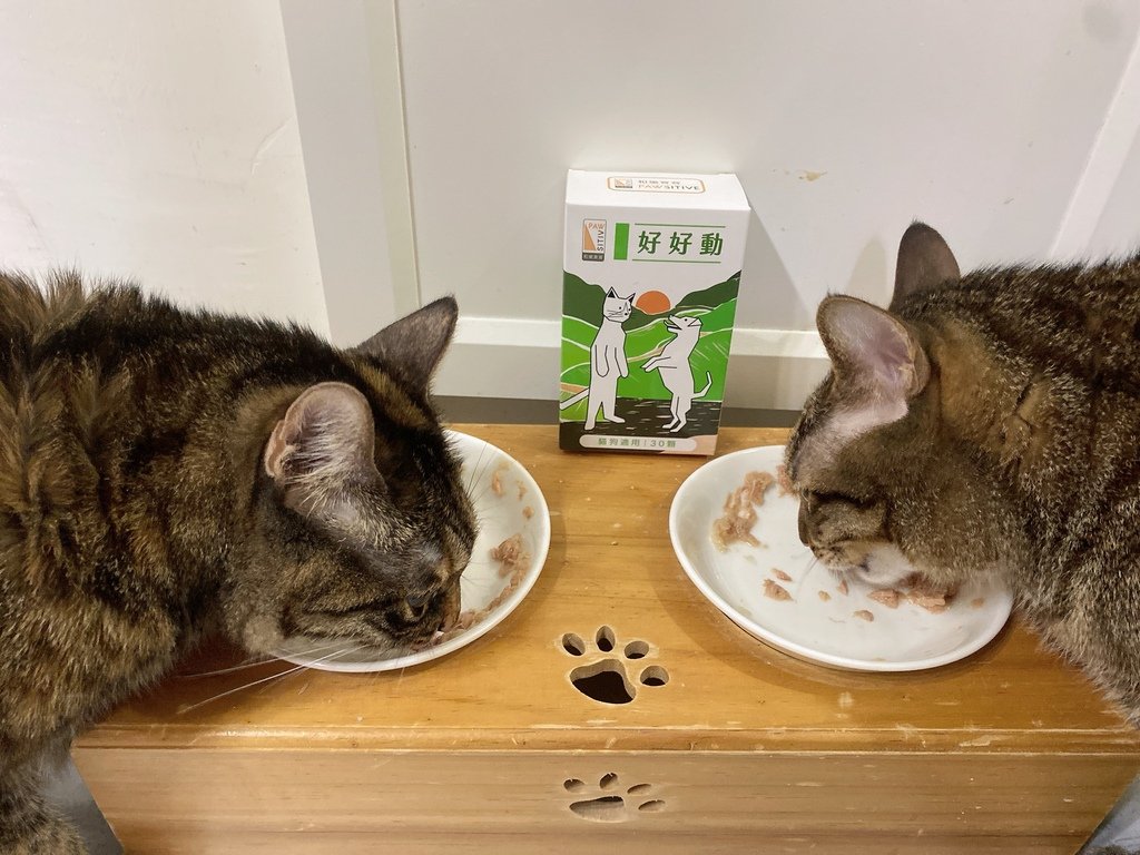 貓狗關節保健品怎麼選？｜和樂茸茸Pawsitive｜好好動-