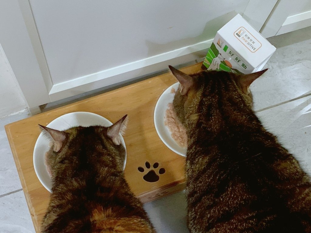 貓狗關節保健品怎麼選？｜和樂茸茸Pawsitive｜好好動-