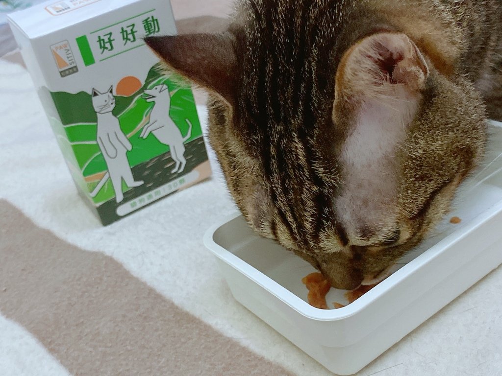 貓狗關節保健品怎麼選？｜和樂茸茸Pawsitive｜好好動-