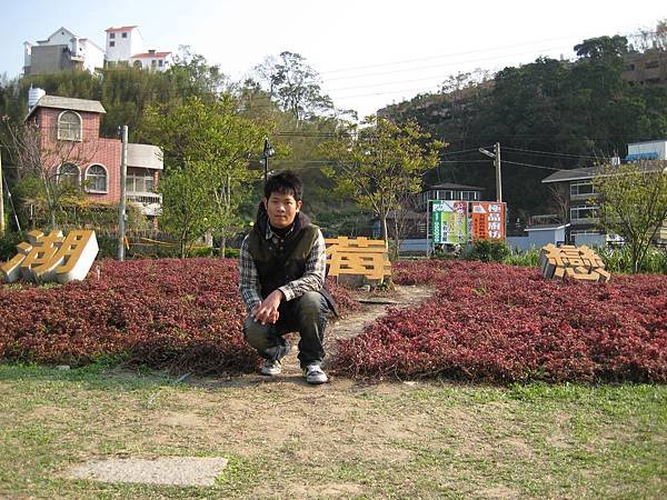 2008大湖草莓.JPG